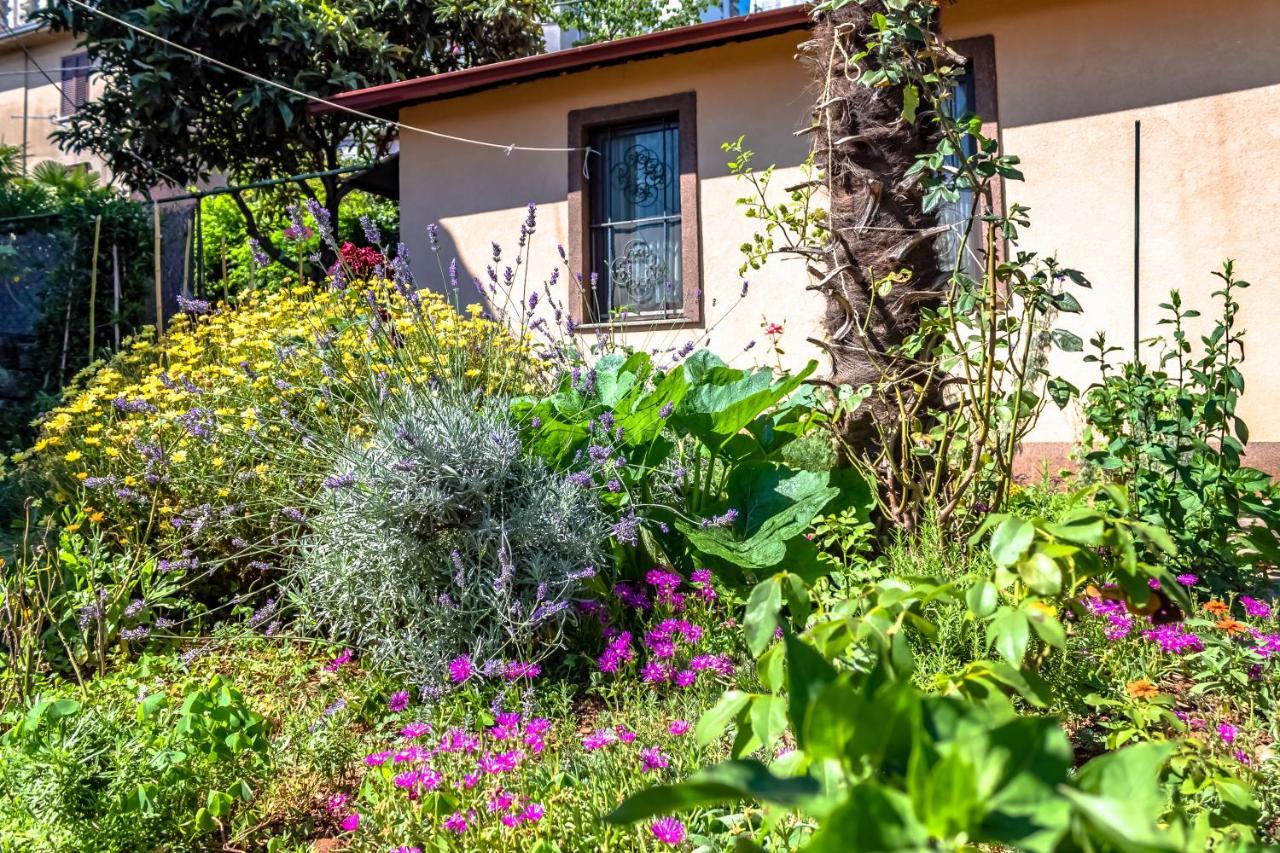 Počitniška hiša Little Garden House *